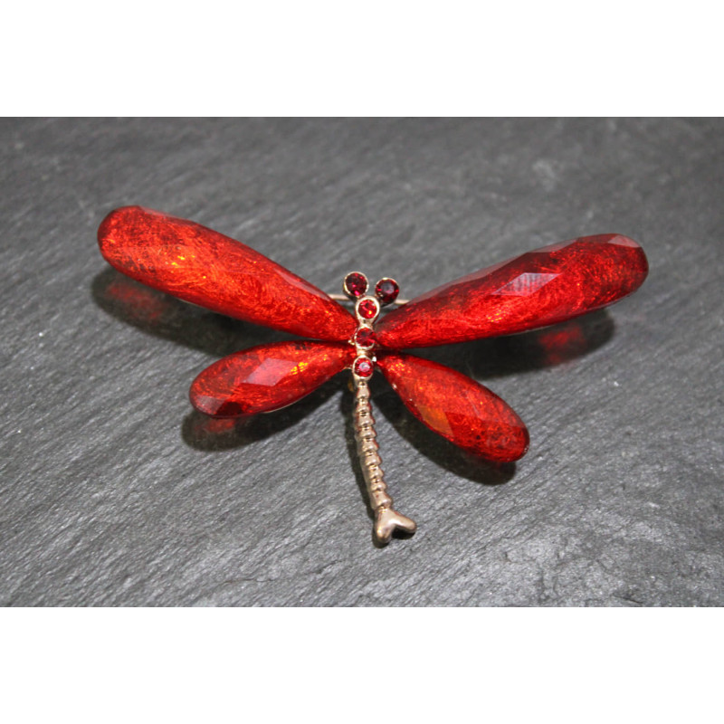 Broches Libélula