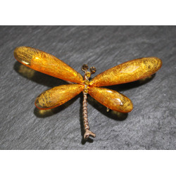 Broches Libélula
